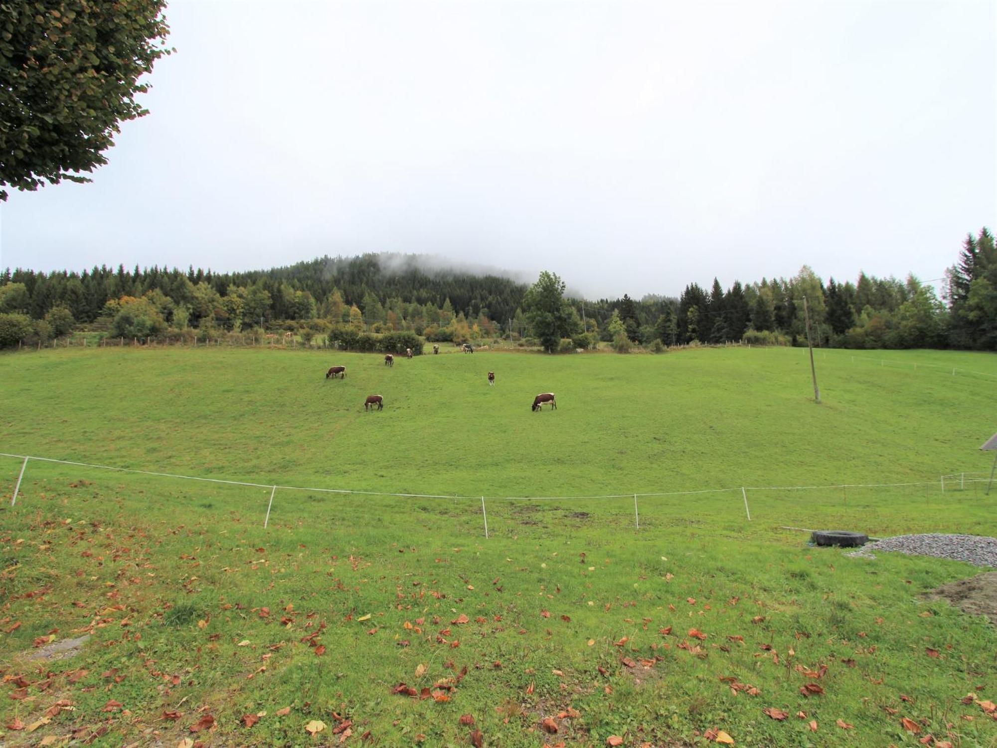 Characterful Old Farmhouse With 4 Apartments In Fresach Carinthia With Garden Luaran gambar